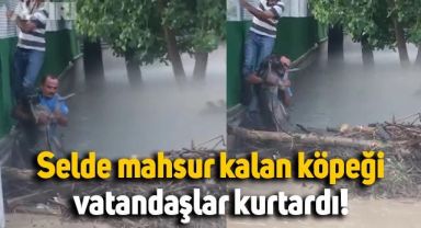 Bursa'da sel sularında mahsur kalan köpeği vatandaşlar kurtardı