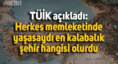 Herkes memleketinde yaşasaydı en kalabalık şehir hangisi olacaktı? TÜİK açıkladı
