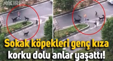 İstanbul Sarıyer'de genç kızın bir anda etrafını sardılar