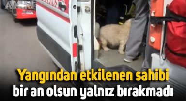 Köpek, yangından kurtarılan sahibini bir an olsun yalnız bırakmadı