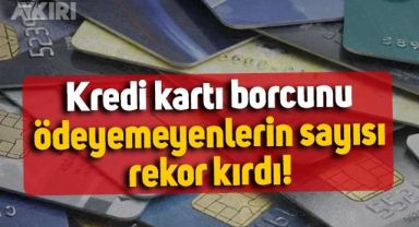 Kredi kartı borcunu ödeyemeyenlerin sayısı rekor kırdı