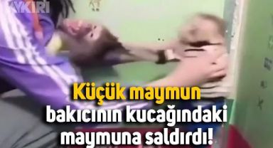 Küçük maymunun, bakıcının kucağındaki maymuna saldırmaya çalıştığı anlar güldürdü