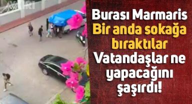 Marmaris'te bir kamyonetin kasasından sokağın ortasına bırakılan kaçaklar böyle görüntülendi
