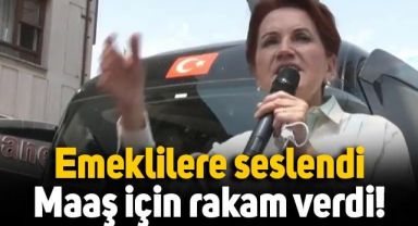 Meral Akşener'den emekli maaşı çıkışı: