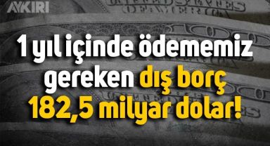 Merkez Bankası açıkladı: Türkiye'nin 1 yıl içinde 182,5 milyar dolar dış borç ödemesi gerekiyor!