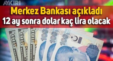Merkez Bankası anket sonucunu açıkladı: 12 ay sonra dolar 22 lirayı aşacak!