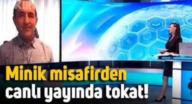 Minik kedi, canlı yayında Hüseyin Özkök'e tokat attı