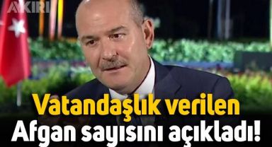 Süleyman Soylu: 39 bin 294 Afganistan uyrukluya Türk vatandaşlığı verildi