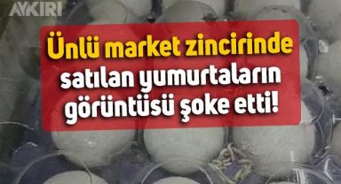 A101'de satılan yumurtaların görüntüsü şoke etti