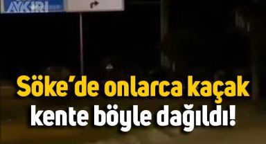 Aydın Söke'ye kadar geldiler, kamyondan inip şehre dağıldılar