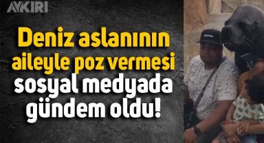 Deniz aslanı ile fotoğraf çektiren ailenin videosu sosyal medyada viral oldu