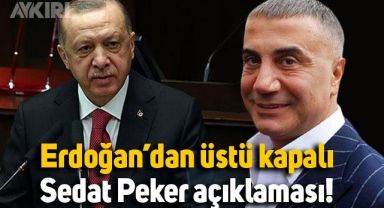 Erdoğan'dan Sedat Peker hakkında ilk açıklama