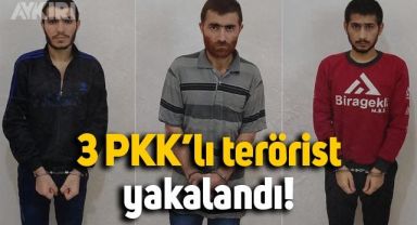 MİT, Suriye'de 3 PKK'lı teröristi yakaladı