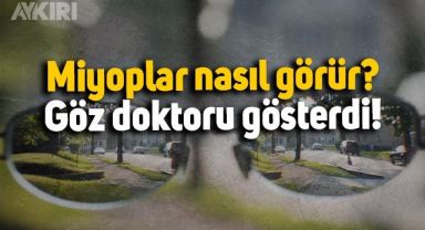 Miyoplar, göz numaralarına göre uzağı nasıl görür? İşte videosu