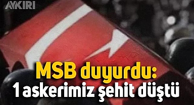 MSB duyurdu: Zeytin Dalı Harekat Bölgesinde 1 askerimiz şehit düştü