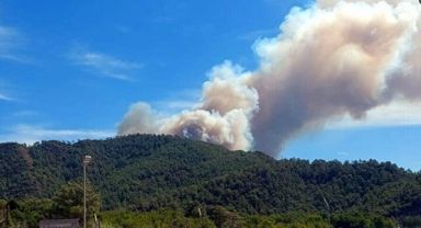 Muğla Marmaris'te orman yangını çıktı