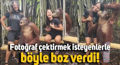 Orangutan, kendisiyle fotoğraf çektirmek isteyen turist kadını önce öptü, sonra sarıldı
