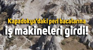 Peri Bacalarına iş makineleriyle müdahale edilmesi kameralara yansıdı görüntüler tepki çekti