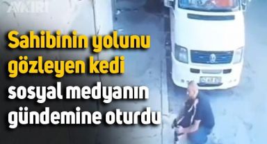 Sahibinin yolunu gözleyen kedi sosyal medyanın gündeminde