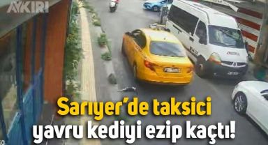 Sarıyer'de taksici yavru kediyi ezip kaçtı