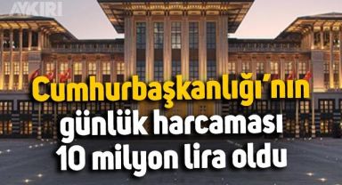 Sayıştay, Cumhurbaşkanlığı'nın günlük harcamasının 10 milyon lira olduğunu açıkladı