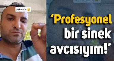 Sinek nasıl yakalanır uygulamalı anlattı: