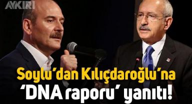 Süleyman Soylu'dan Kemal Kılıçdaroğlu'na 'DNA' yanıtı