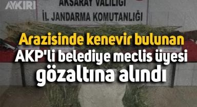 Arazisinde kenevir bulunan AKP'li belediye meclis üyesi, gözaltına alındı