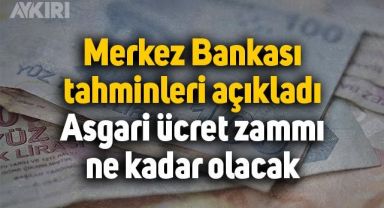 Asgari ücrete ne kadar zam yapılacak? Asgari ücret 2023'te kaç lira olacak? Merkez Bankası tahminlerini açıkladı