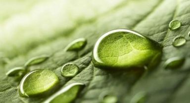 Bilim insanları, yaşamı oluşturan kimyayı keşfettiklerini iddia etti