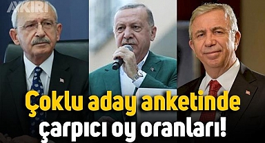 Seçim için çoklu aday araştırmasında çarpıcı oy oranları