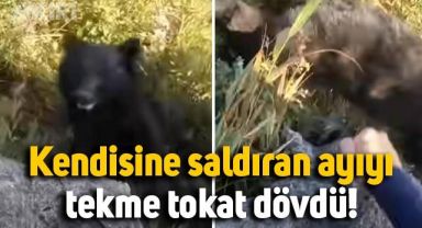 Dağcı, kendisine saldıran ayıyı böyle etkisiz hale getirdi