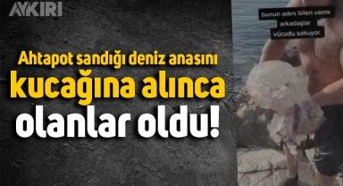 Deniz anasını ahtapot sanarak kucağına alan adam sosyal medyanın gündemine oturdu