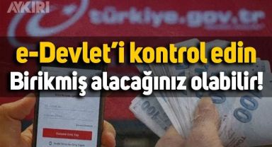 e-Devlet'i kontrol edin: Hesabınızda birikmiş alacağınız olabilir