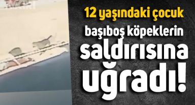 Edirne'de yaralanan küçük çocuğun son durumu belli oldu