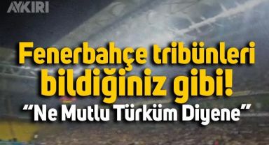 Fenerbahçe tribünlerinden Larnaca maçında anlamlı mesaj: 