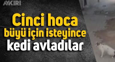 Gaziantep'te büyü bozmak için kedi patileri kesildi
