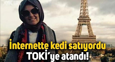 İnternette kedi satışı yapan isim TOKi'ye atandı