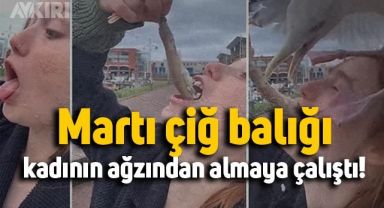 Kadının ağzından balığı alıp kaçan martı izlenme rekoru kırdı