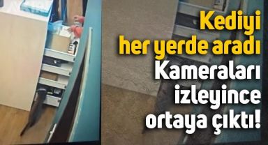Kedisini her yerde arası, kameraya bakınca gerçek ortaya çıktı