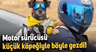 Köpeğiyle gezen motor sürücüsünün videosu viral oldu