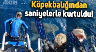 Köpekbalığı ile burun buruna geldi, saniyelerle kurtuldu