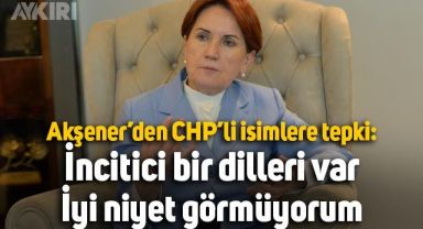 Meral Akşener'den CHP'li isimlere tepki: İncitici bir dilleri var, iyi niyet görmüyorum