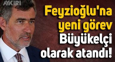 Metin Feyzioğlu'na yeni görev: Büyükelçi olarak atandı!
