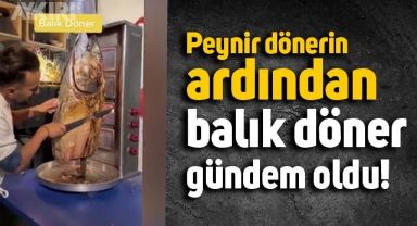 Peynir dönerden sonra, balık döner gündemde