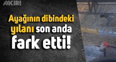 Tarlada çalışırken ayağının altındaki yılanı son anda fark eden adamın tepkisi viral oldu