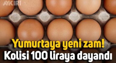 Yumurtaya yeni zam geldi, fiyatlar uçtu: Kolisi 100 liraya dayandı!