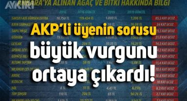 AKP'li meclis üyesinin sorusu büyük vurgunu ortaya çıkardı: Mansur Yavaş, ağaç ve bitkileri 85 kat daha ucuza almış