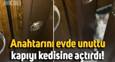 Anahtarını evde unuttu, çilingir çağırmak yerine kapıyı kedisine açtırdı