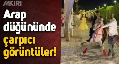 Arap düğününde ilginç anlar: Damadı taşıyan atın ayağı kaydı, damat bağırmaya başladı